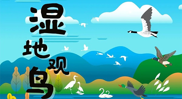 【獨立觀鳥一日營】走進白馬湖濕地，一起來探尋鳥兒的秘密