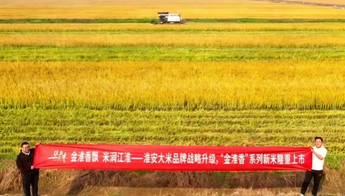 淮安大米新米上市！“金淮香”系列隆重登場(chǎng)